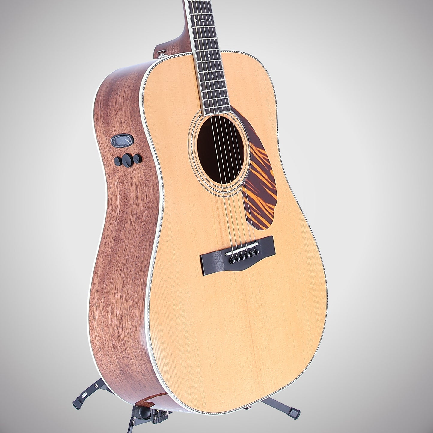 Fender PM-1E Standard Dreadnought, Ovangkol Fingerboard, Natural w/case (F13) (15010)